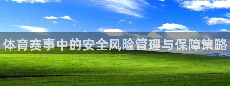 体育赛事中的安全风险管理与保障策略
