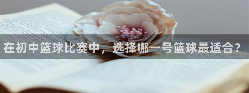 在初中篮球比赛中，选择哪一号篮球最适合？