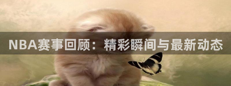 NBA赛事回顾：精彩瞬间与最新动态
