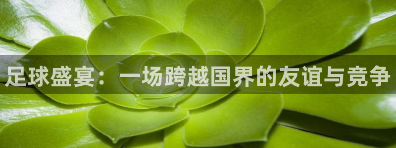 足球盛宴：一场跨越国界的友谊与竞争