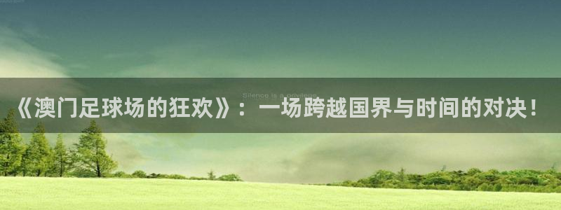 《澳门足球场的狂欢》：一场跨越国界与时间的对决！