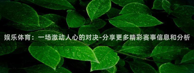 娱乐体育：一场激动人心的对决-分享更多精彩赛事信息和分析