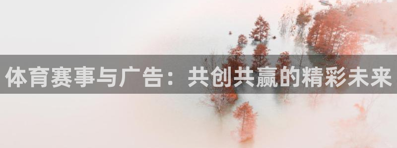 体育赛事与广告：共创共赢的精彩未来