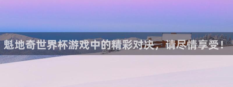 魁地奇世界杯游戏中的精彩对决，请尽情享受！