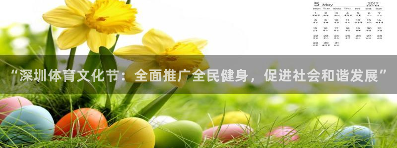 “深圳体育文化节：全面推广全民健身，促进社会和谐发展”
