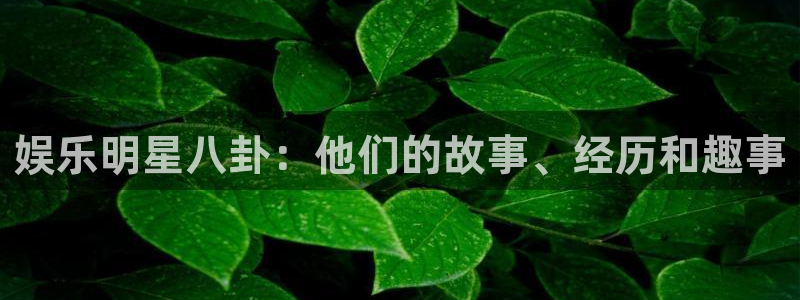 娱乐明星八卦：他们的故事、经历和趣事