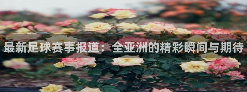 最新足球赛事报道：全亚洲的精彩瞬间与期待